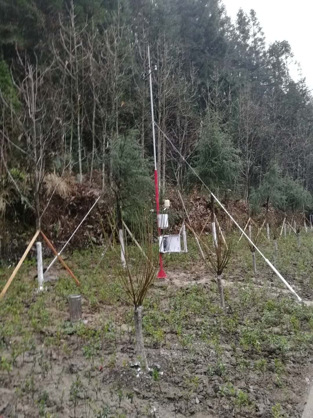 湖北新容森林景区气象站项目案例气象站安装现场