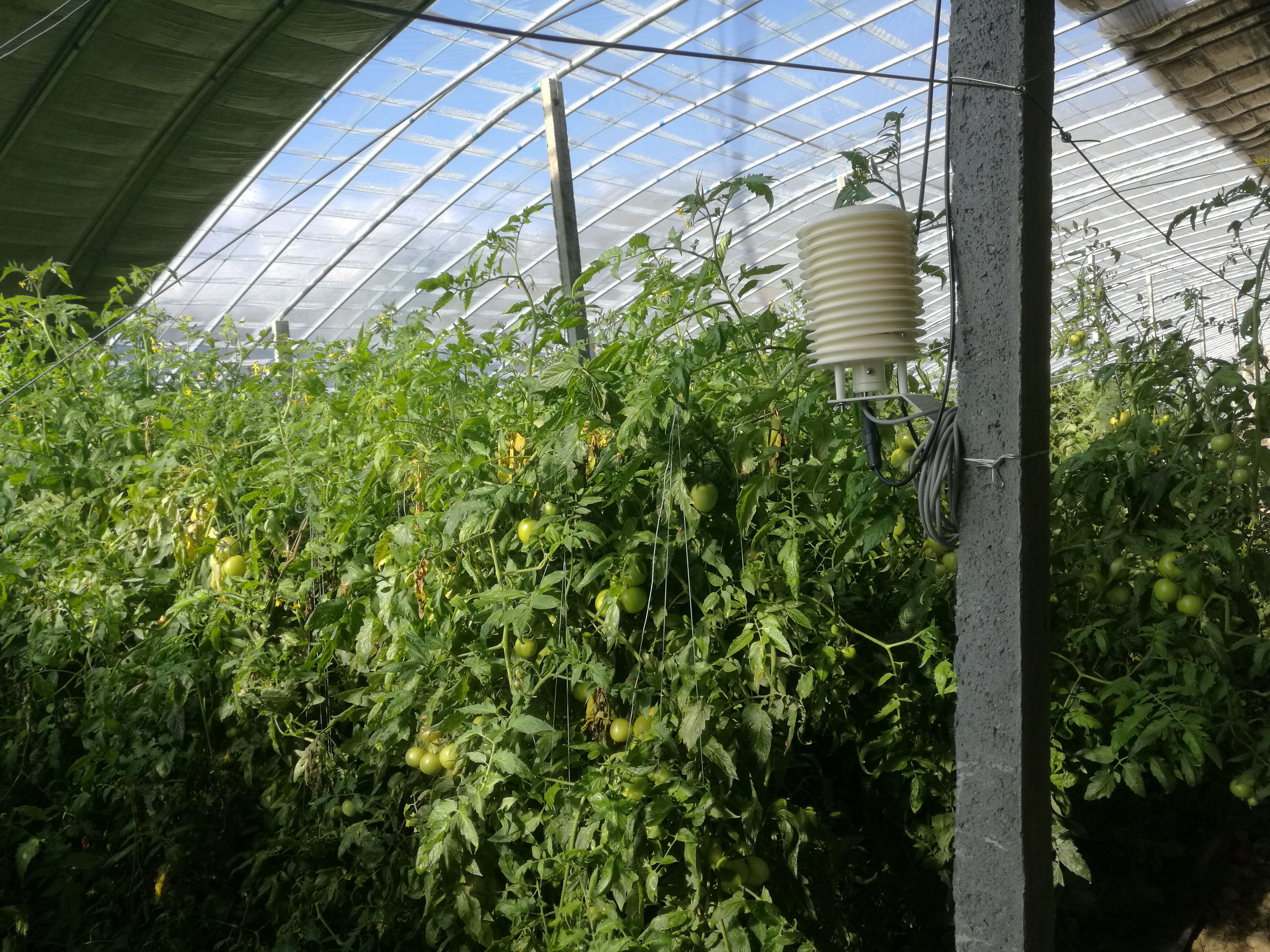 青海大学日光温室大棚监测系统项目安装现场