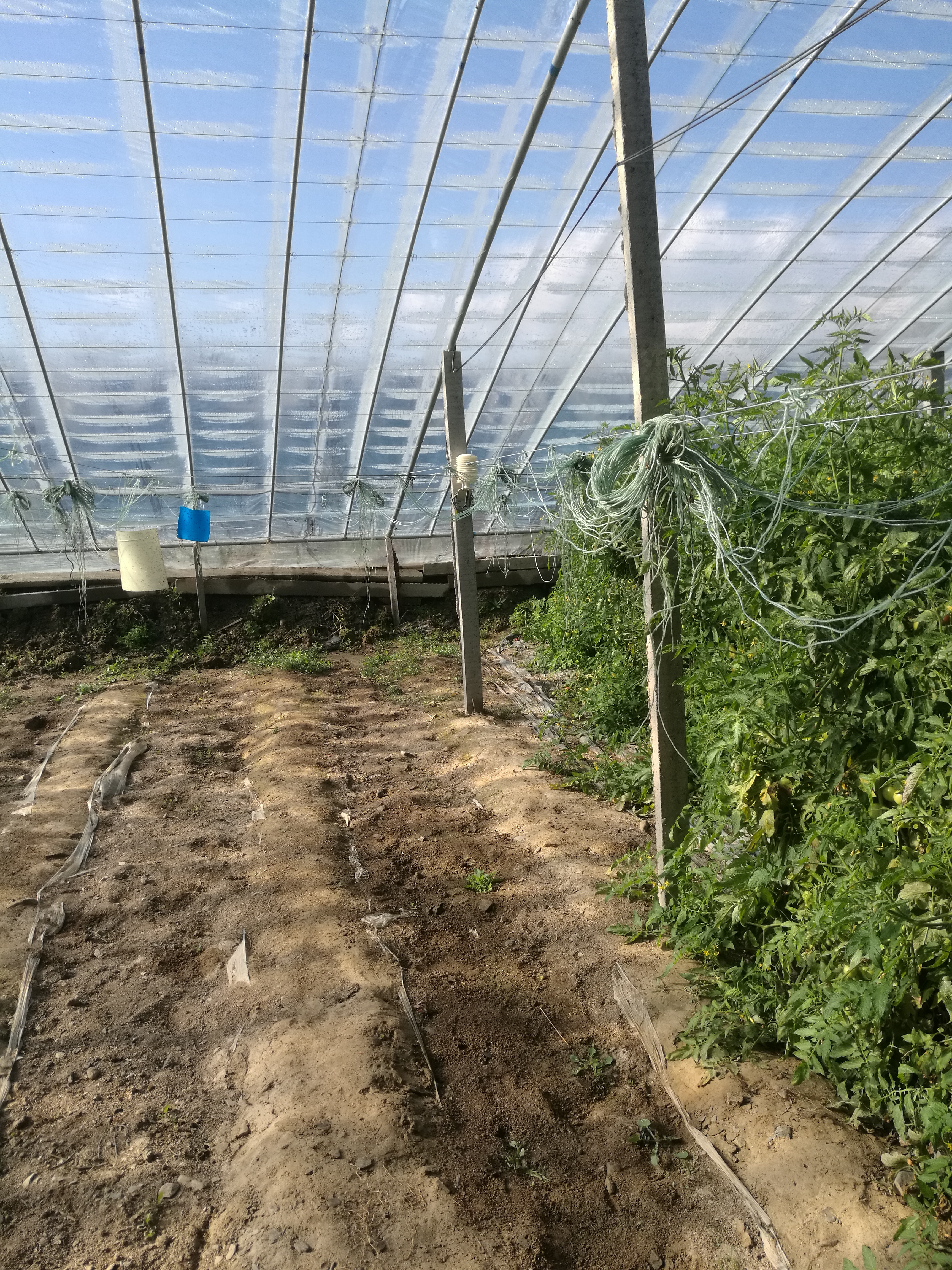 青海大学日光温室大棚监测系统项目安装现场