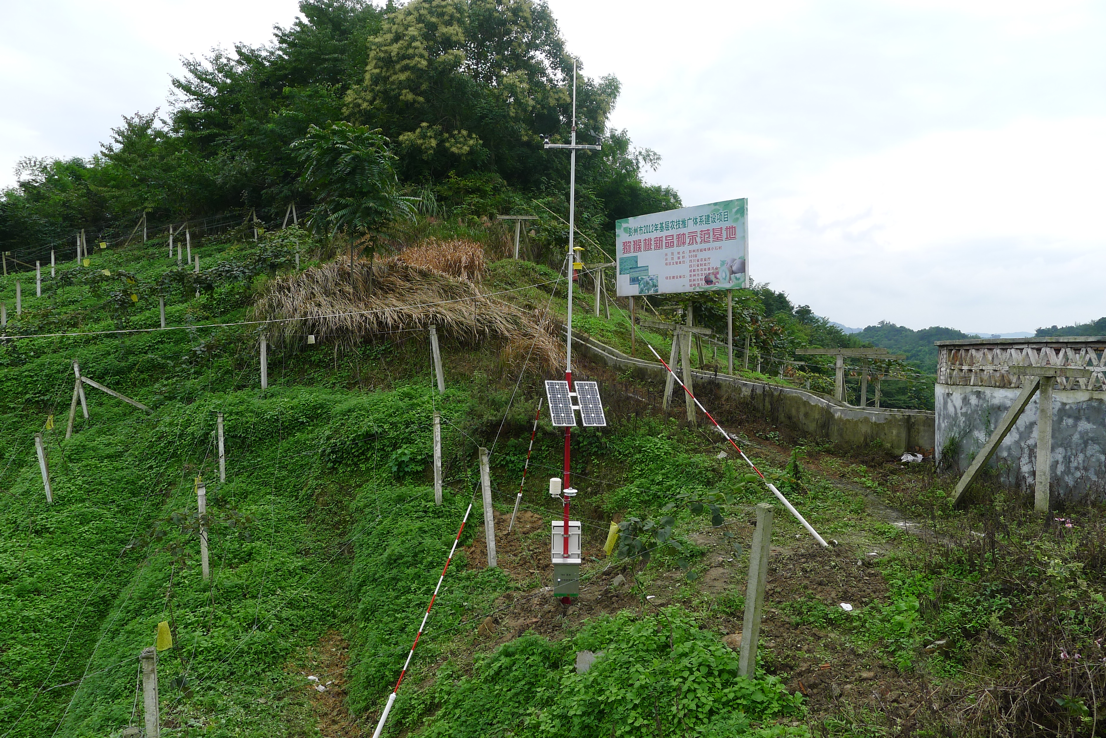 四川狝猴桃种植示范园区气象观测站项目安装现场