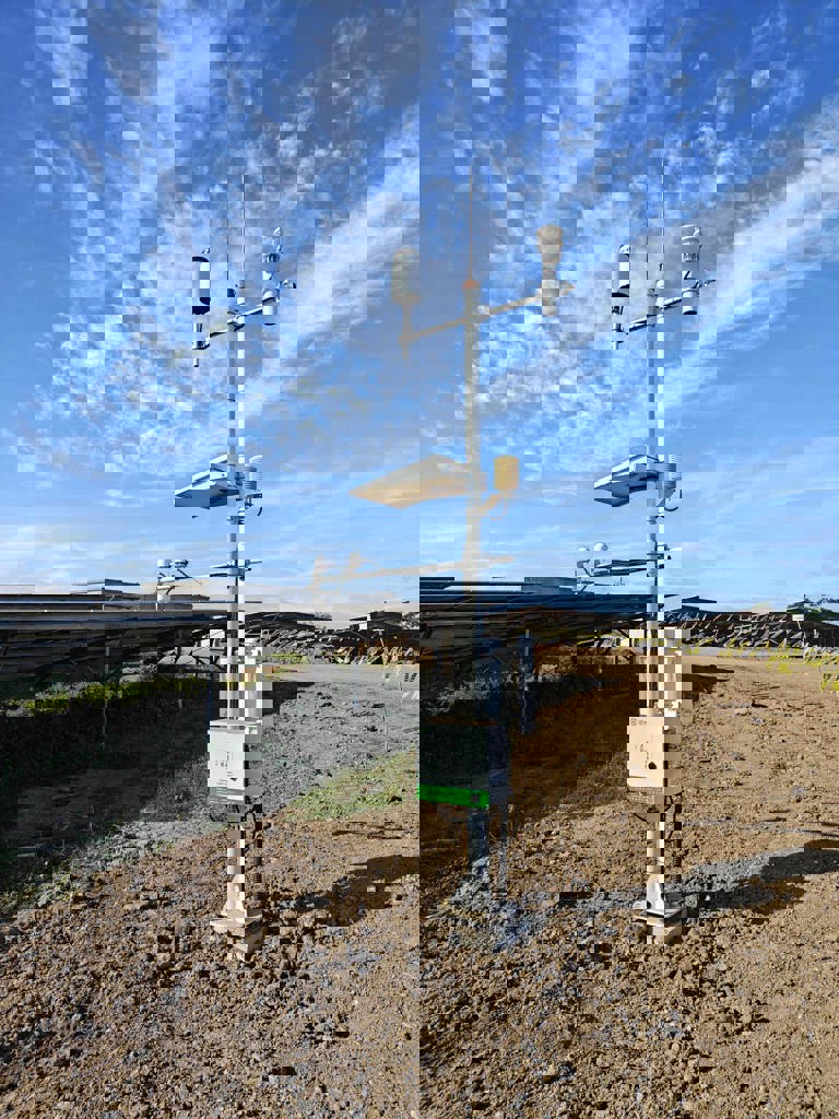 菲律宾泰拉 1.05GW 光伏电站项目